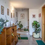 Casa Iolanda * Lucca